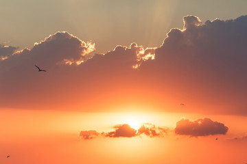 Sunset with beautiful sun rays.