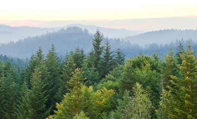 View of the mountains, Skhodnitsa, Ukraine