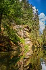 Fototapeta na wymiar River gorges with rocks and trees along it in Czech republic
