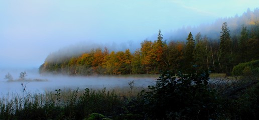 foggy morning on the lake
