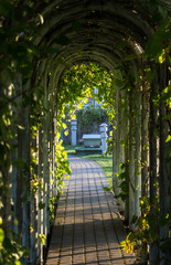 Fototapeta premium Green road
