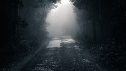 Foto op Plexiglas Bosweg in een groen mistig bos © nvphoto