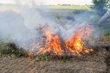 Farmer burns green wastes in bonfire, agriculture concept