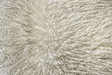 Close up of sheep texture - fur background, Ireland