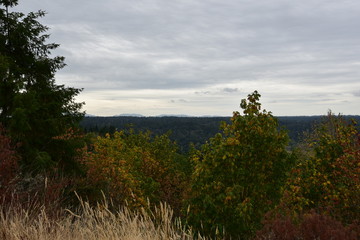 Fototapeta na wymiar View of horizon from hilltop