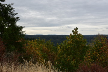 View of horizon from hilltop