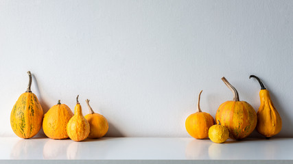 Happy Thanksgiving Background. Selection of various pumpkins on white shelf against white wall. Modern minimal autumn inspired room decoration.