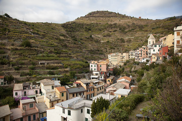 Fototapeta na wymiar view of the terraces above the town of Manarola in cique terre,italy