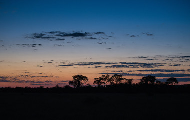 Fototapeta na wymiar Sonnenuntergang in Afrika (Botswana und Zimbabwe)