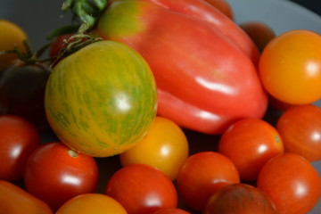 Bunte frische Tomaten