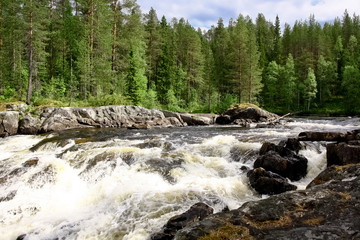 mountain river in the forest