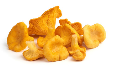 Raw fresh chanterelles mushrooms, isolated on white background
