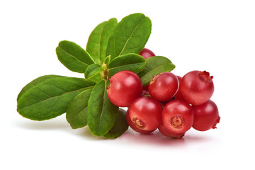 Cranberry. Ripe Fresh Cranberries with leaves, isolated on white background