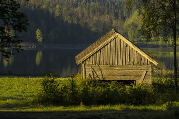 old house in the forest