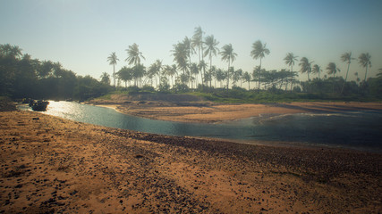 Panoramic view of tropical beach with coconut palm trees. Koh Samui, Thailand..