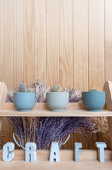 A small cactus pot displayed on wooden shelf in cafe shop with craft label