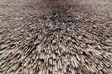 Texture of the reed roof