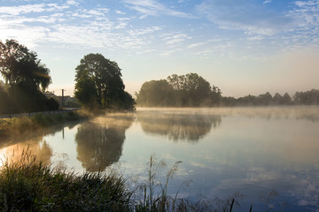Early summer morning at the pond