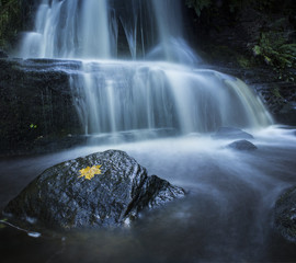 waterfall in the forest