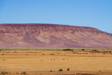 namibia red mountain veld