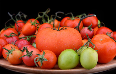super fresh colorful tomato