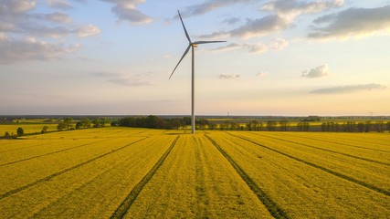 electrical windmill in field of rapeseed