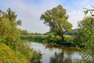 Fototapeta premium River landscape on a background of blue sky at sunny autumn morning
