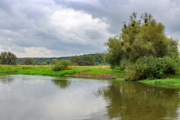 Bank of a small river with green tree against dramatic gray sky on a autumn day. River landscape