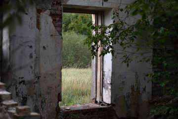 Window in garden