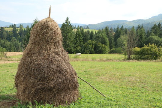 bale of hay