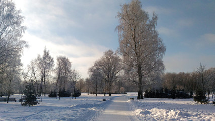 Dawn in a snowy park