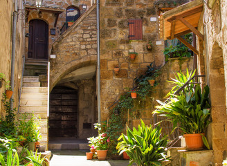 Old courtyard in Pitigliano full of plants.
