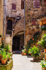 Old courtyard in Pitigliano full of plants