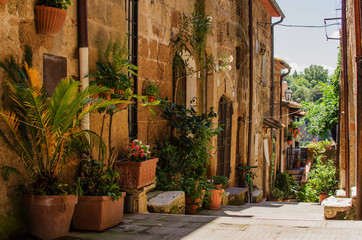 Fototapeta na wymiar Old street in Pitigliano full of flowerpot