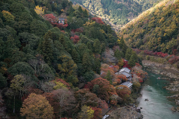 京都 - 嵐山　紅葉