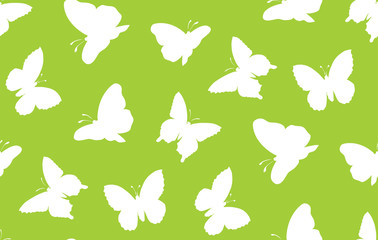 Butterfly. Vector drawing