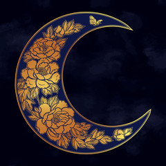 Beautiful romantic crescent moon