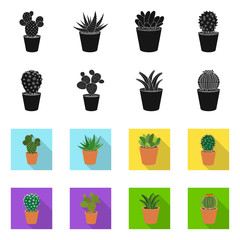 Isolated object of cactus and pot logo. Collection of cactus and cacti stock vector illustration.
