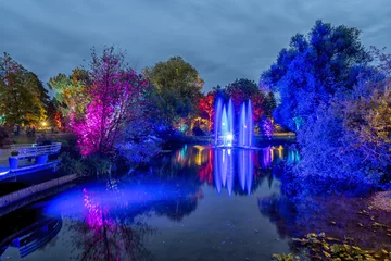 Fotobehang Betoverde Bos last night in the enchanted forest - the magic park  © gerckens.photo