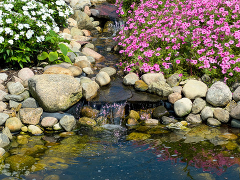 summer rock garden with pink petunia plants and waterfall by pond