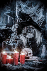 thinking wizard with raven