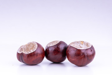chestnuts in the shell on the surface