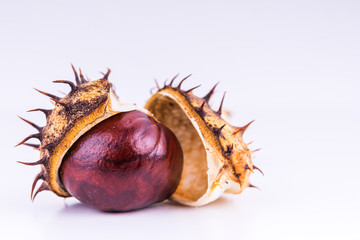 chestnuts in the shell on the surface