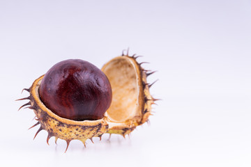 chestnuts in the shell on the surface