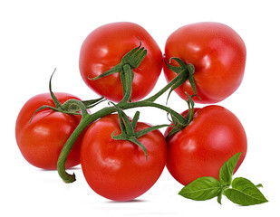 tomato and basil isolated on white background