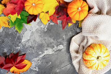 Thanksgiving raw pumpkins with fresh fall leaves and cosy knitted blanket frame
