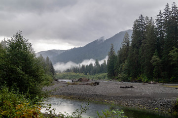 Hoh River flowing through Olympic National Park in Washington, USA