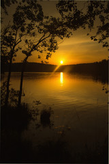 Summer sunset on the lake