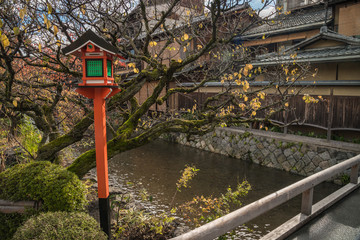 京都 - 祇園白川　紅葉