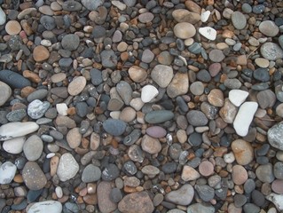 Strandkiesel